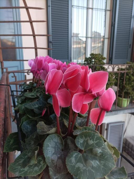 Pane E Tulipani, Cozy Apartment Near City Center Turin Exteriör bild